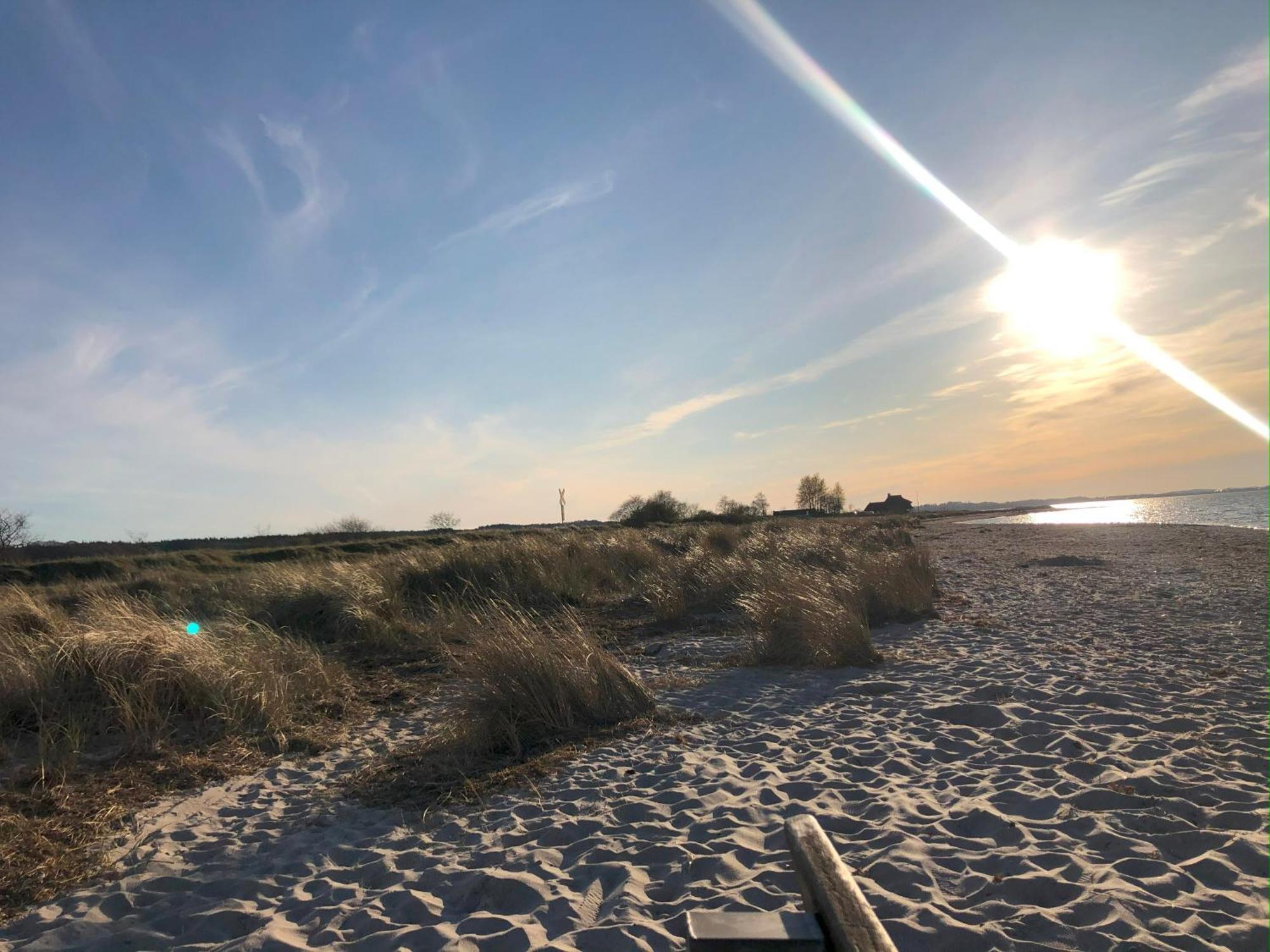 Neue Ferienwohnung An Der Ostsee,Terrasse,Sauna Surendorf Экстерьер фото